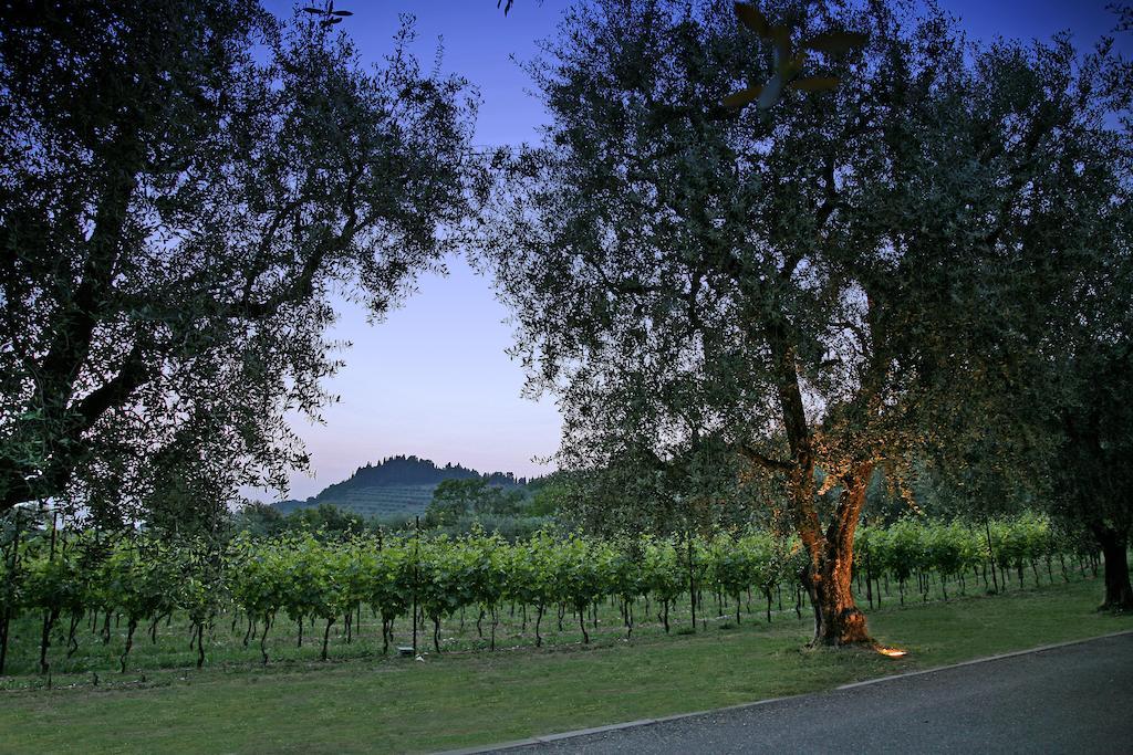 La Zerla Bed & Breakfast Bardolino Exterior foto